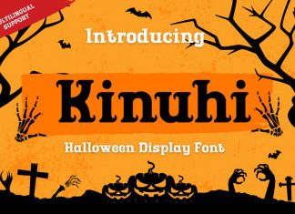 Kinuhi Display Font