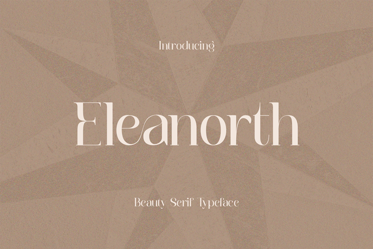 Eleanorth Serif Font