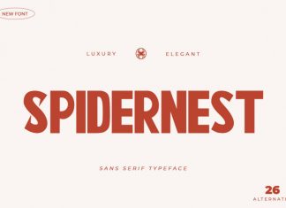 Spidernest Sans Serif Font