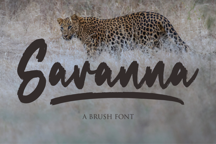 Savanna Brush Font