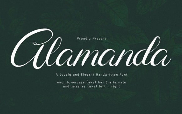 Alamanda Calligraphy Font