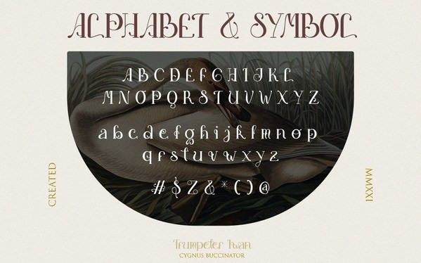 Angsoduo Serif Font