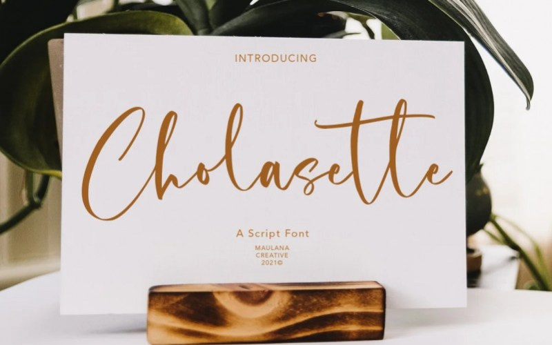 Cholasette Script Font