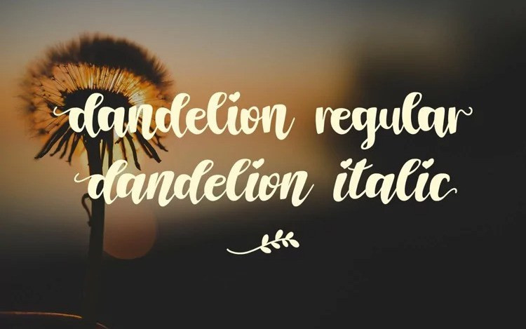 Dandelion Script Font