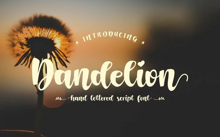 Dandelion Script Font