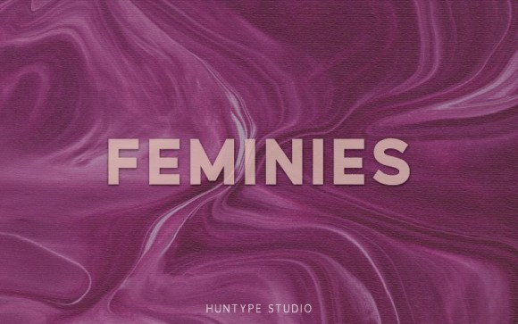 Feminies Sans Serif Font