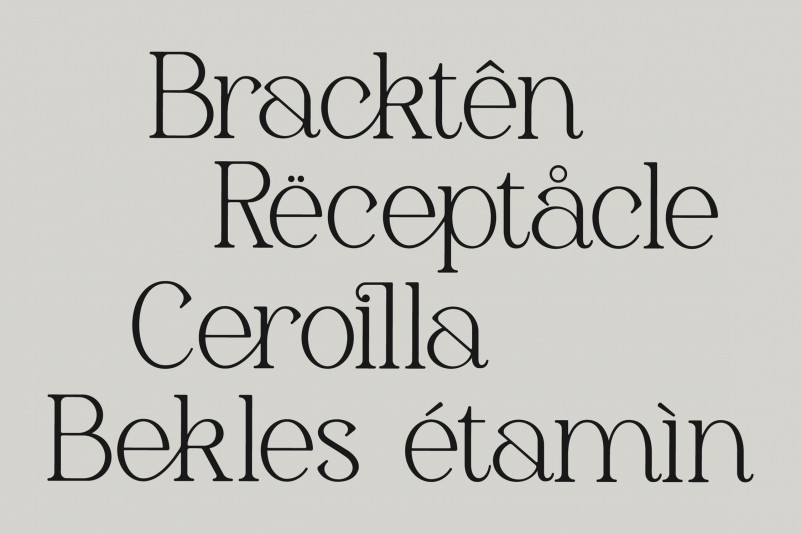 Gerlick Serif Font