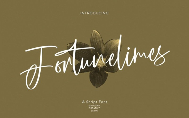 Fortunelimes Handwritten Font