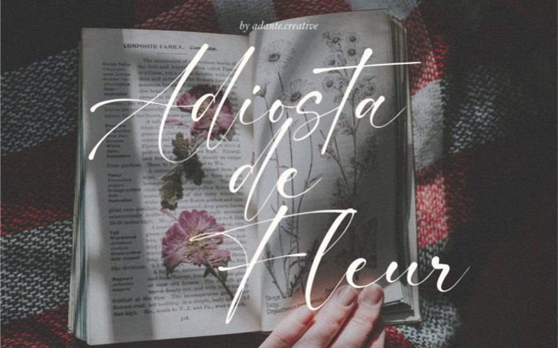 Hello Magnolia Script Font