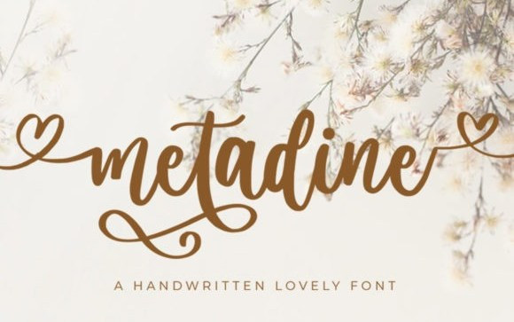 Metadine Calligraphy Font