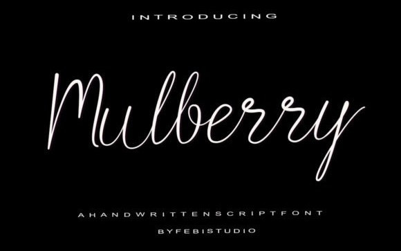 Mulberry Handwritten Font