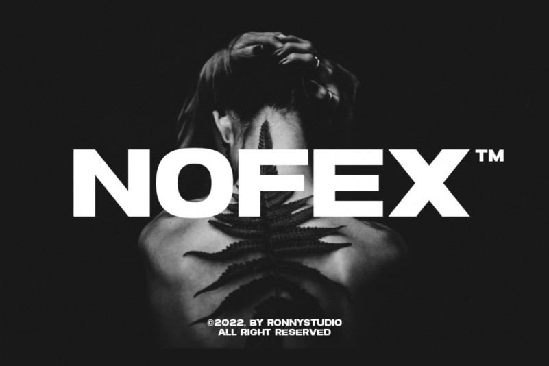 Nofex Sans Serif Font