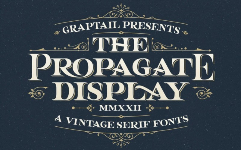 Propagate Serif Font