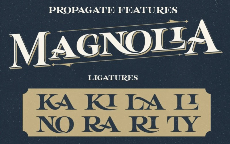 Propagate Serif Font