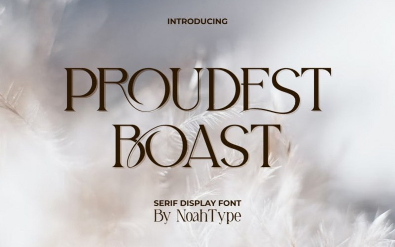 Proudest Boast Serif Font