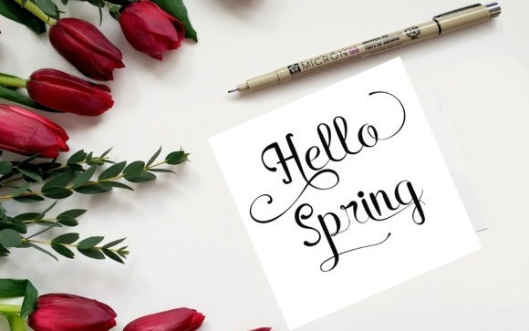 Rain In Spring Calligraphy Font