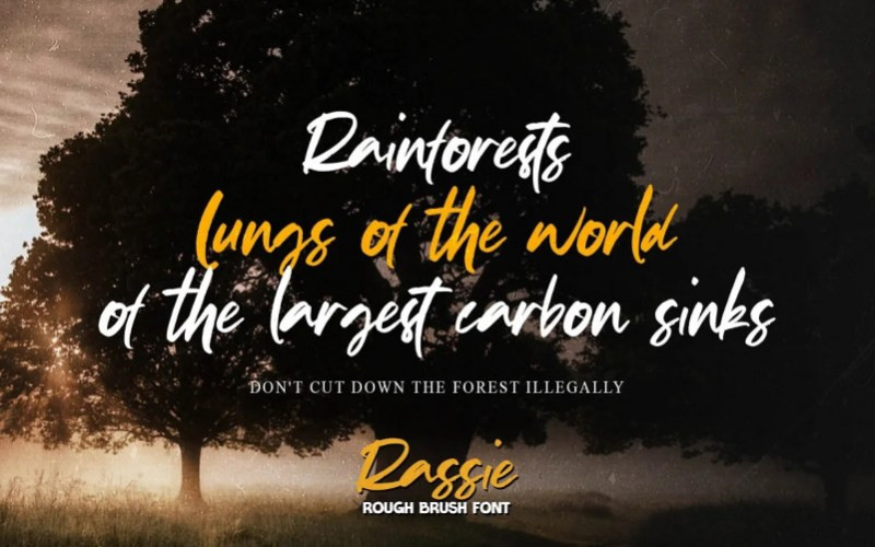 Rassie Brush Font