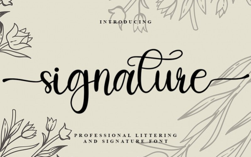 Signature Calligraphy Font