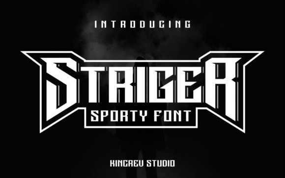 Striger Display Font