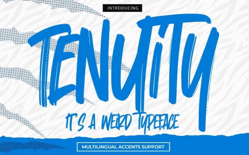 Tenuity Brush Font