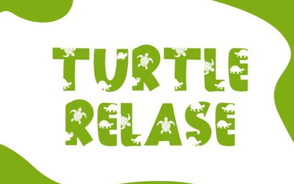 The Turtle Display Font