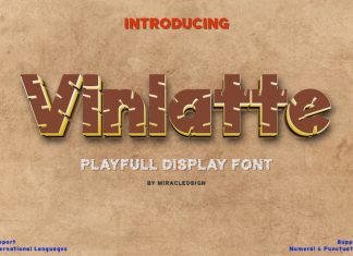 Vinlatte Display Font