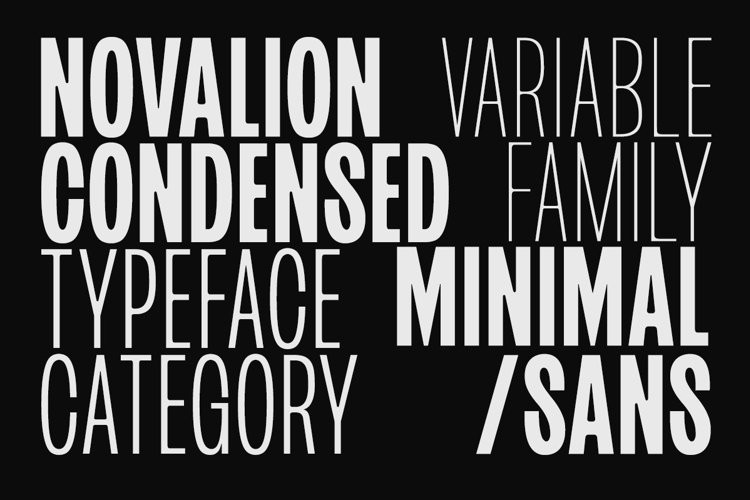 Novalion Sans Serif Font