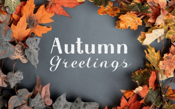 Halloween in Autumn Script Font