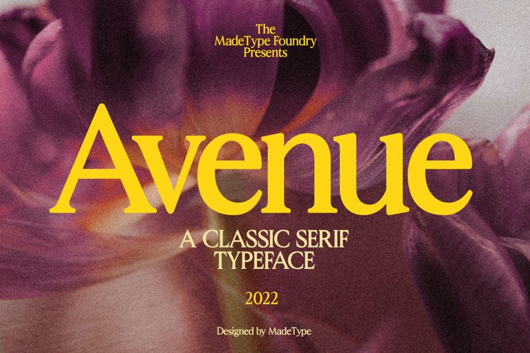 Avenue Serif Font