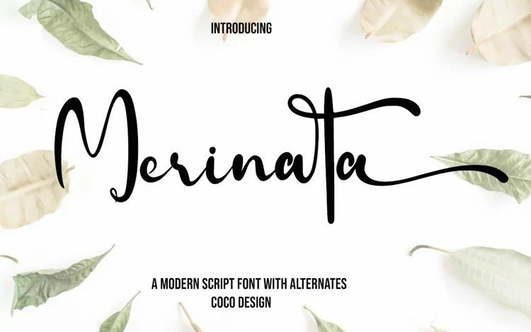 Merinata Font