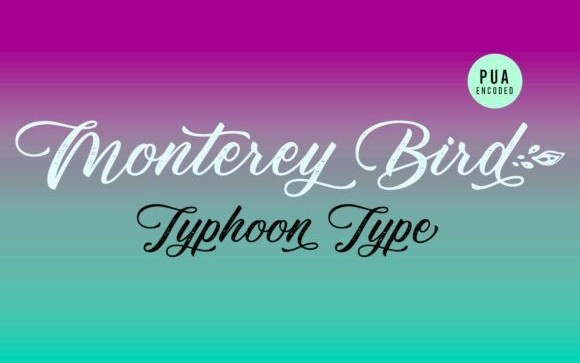 Monterey Bird Calligraphy Font