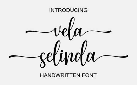 Vela Selinda Calligraphy Font