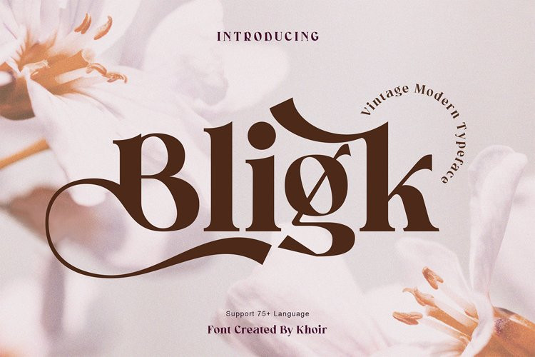 Bligk Serif Font