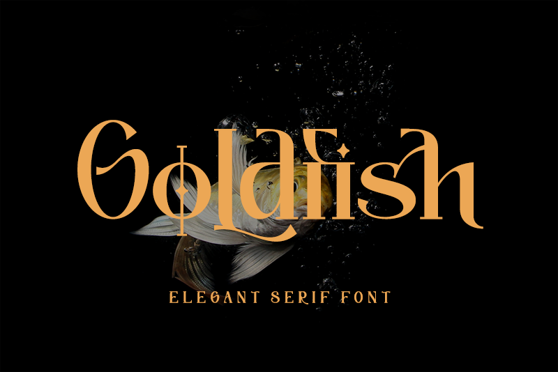 Goldfish Serif Font