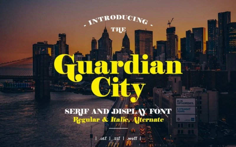 Guardian City Serif Font