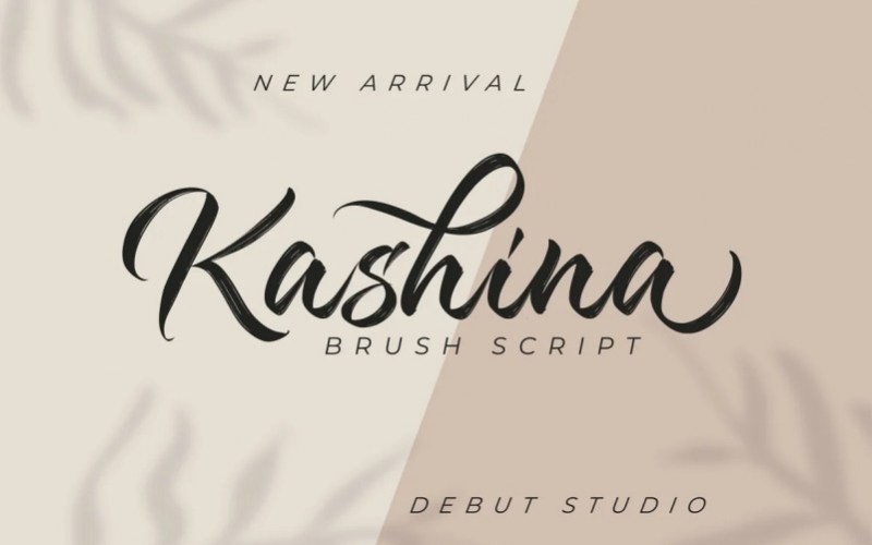 Kashina Brush Font