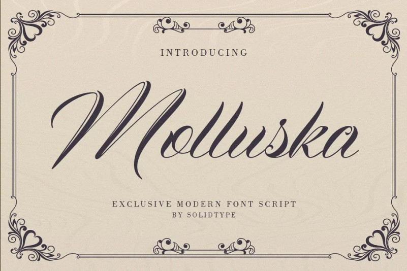 Molluska Calligraphy Font