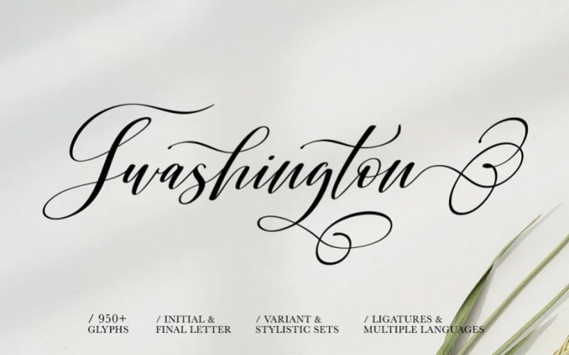 Shington Calligraphy Font