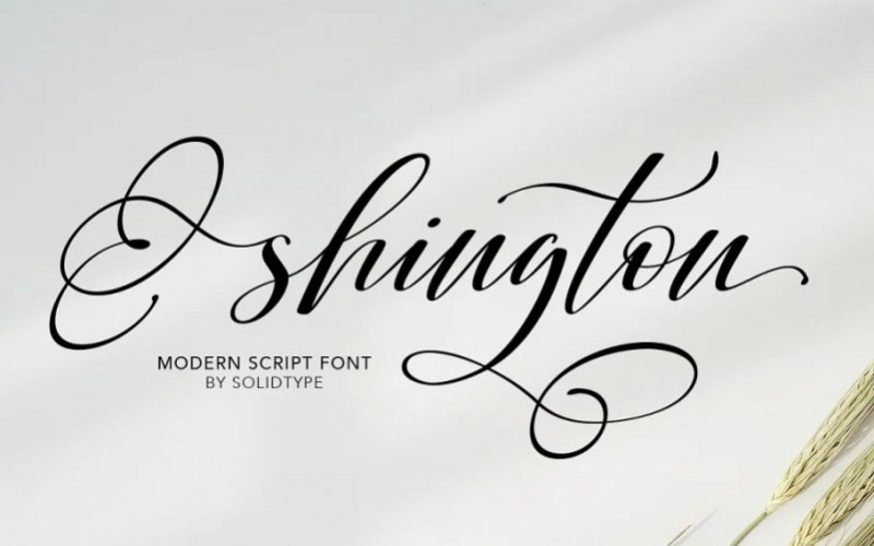 Shington Calligraphy Font